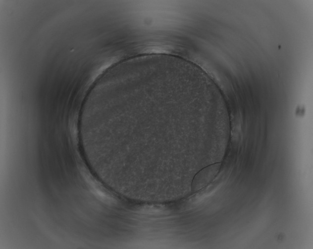 X0000094910386200712131457
