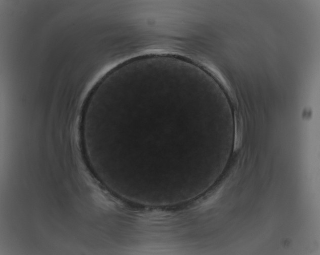 X0000094910387200712131457