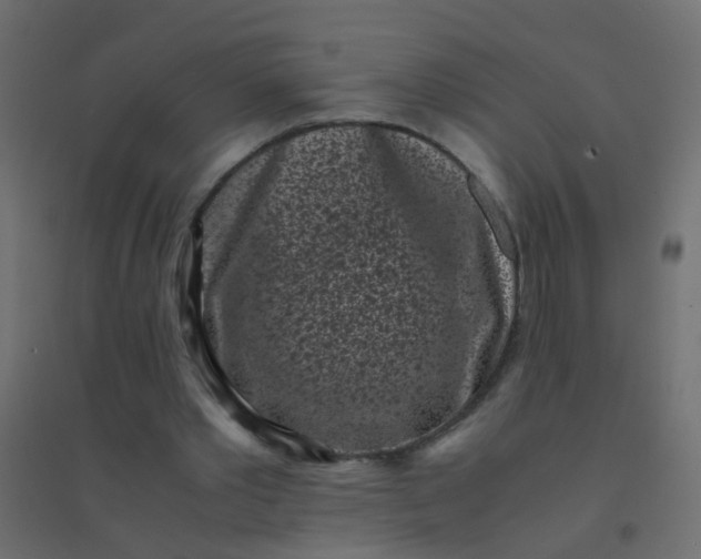 X0000094910389200712131457