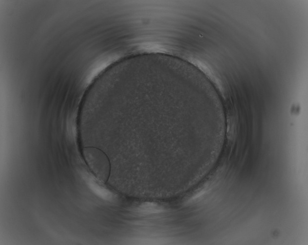 X0000094910390200712131457