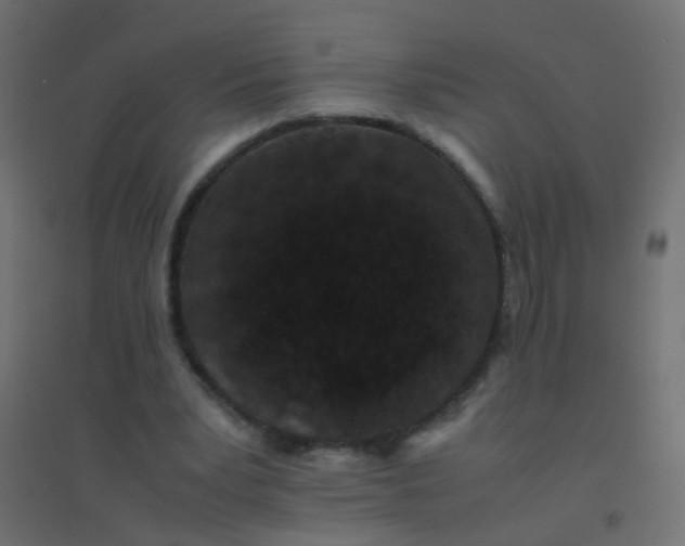 X0000094910391200712131457