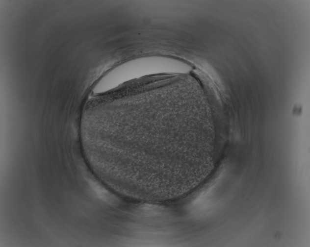 X0000094910393200712131457