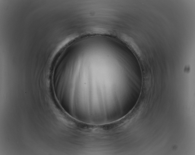 X0000094910395200712131457