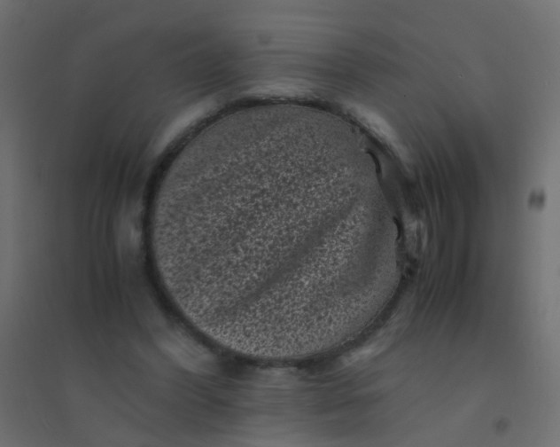 X0000094910396200712131457
