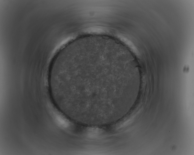 X0000094910399200712131457