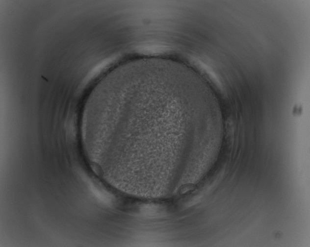 X0000094910400200712131457