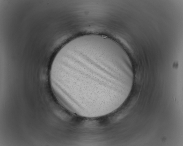 X0000094910403200712131457