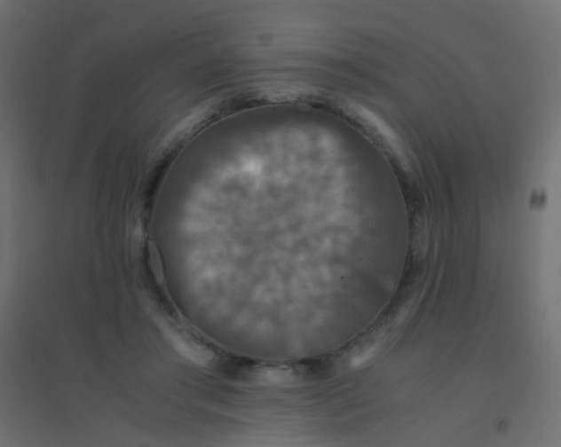 X0000094910405200712131457