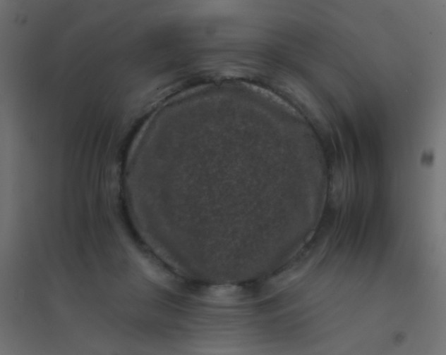 X0000094910410200712131457