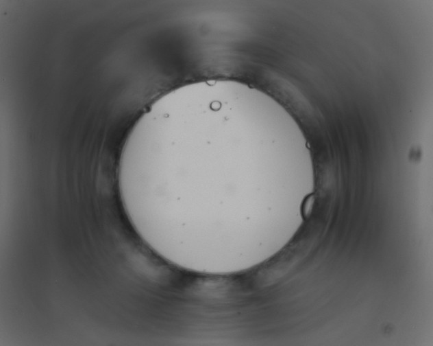 X0000094910414200712131457