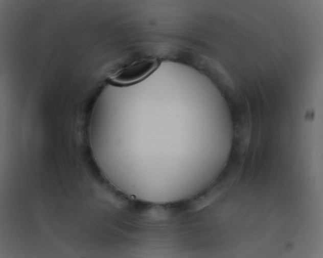 X0000094910416200712131457