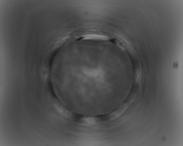 X0000094910417200712131457
