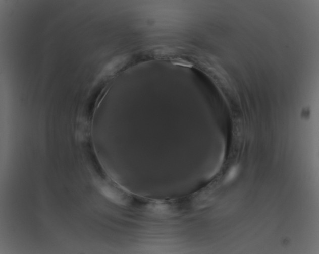 X0000094910419200712131457