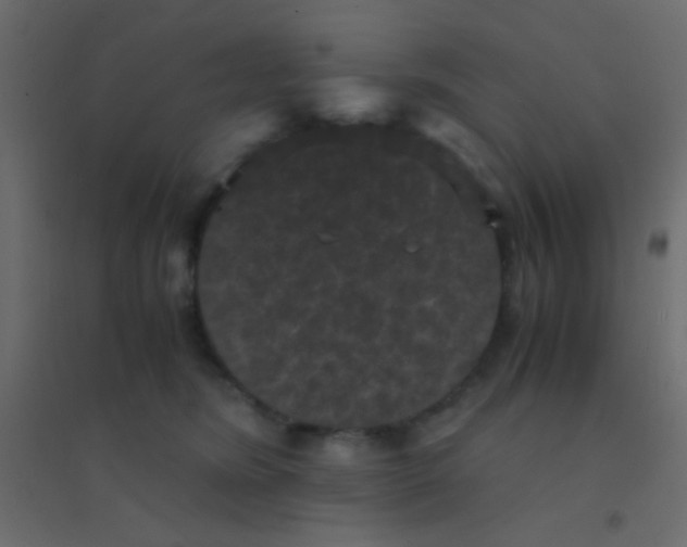 X0000094910420200712131457