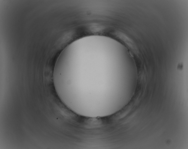 X0000094910421200712131457