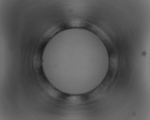 X0000094910422200712131457