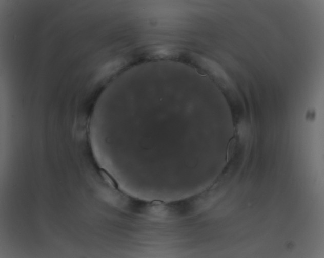X0000094910423200712131457