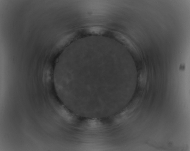 X0000094910424200712131457