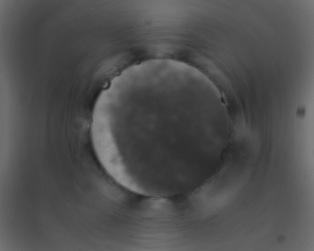 X0000094910427200712131457