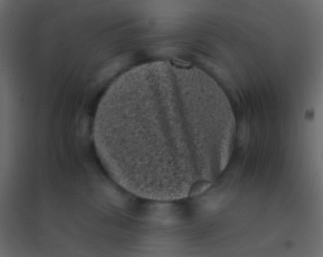 X0000094910428200712131457