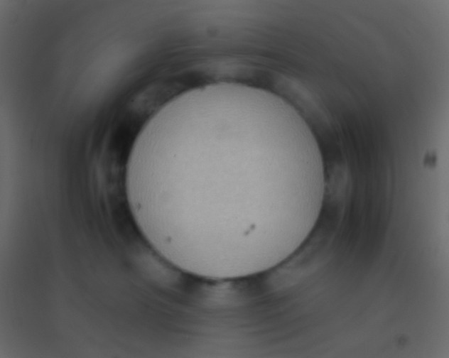 X0000094910430200712131457