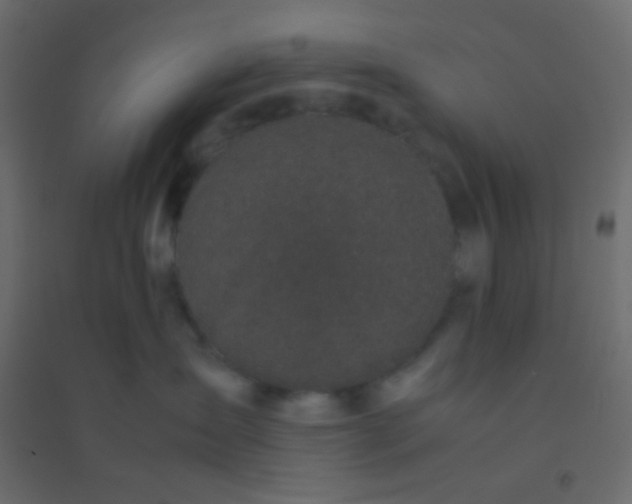 X0000094910431200712131457