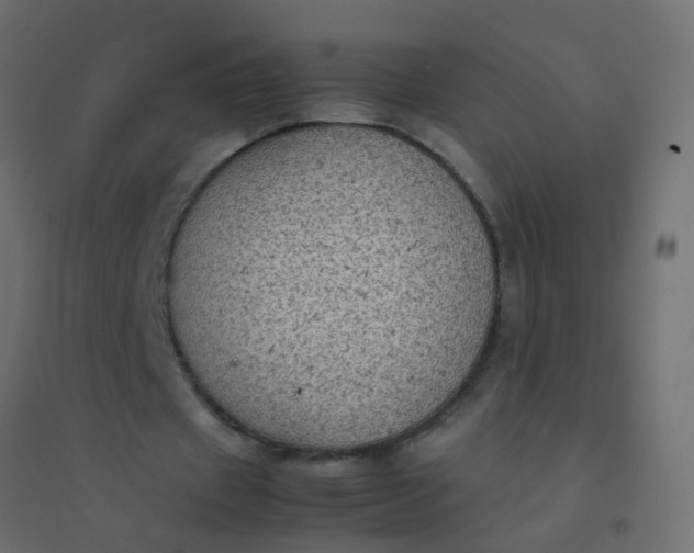 X0000094910433200712131456
