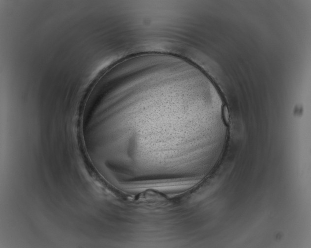 X0000094910434200712131456