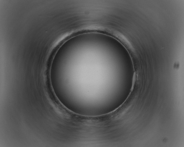 X0000094910436200712131456