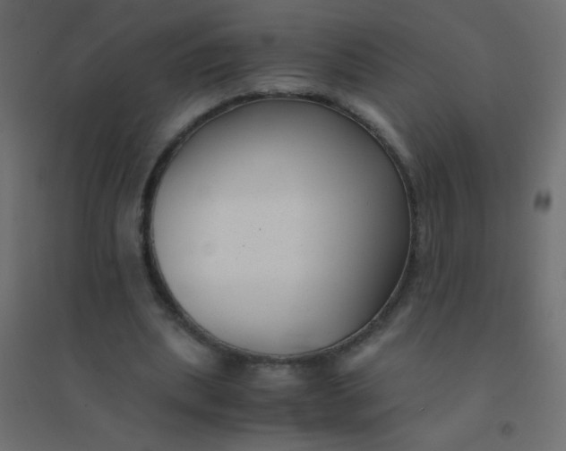 X0000094910439200712131456