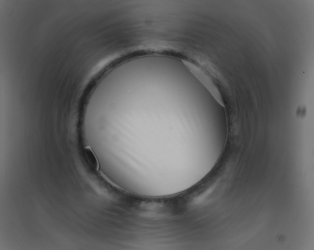 X0000094910440200712131456
