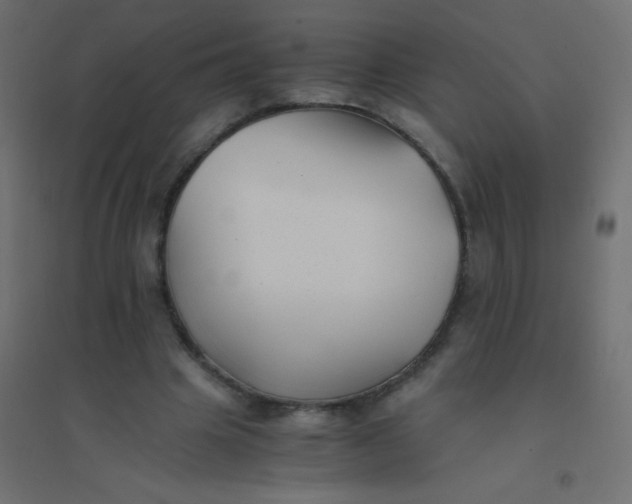 X0000094910441200712131456