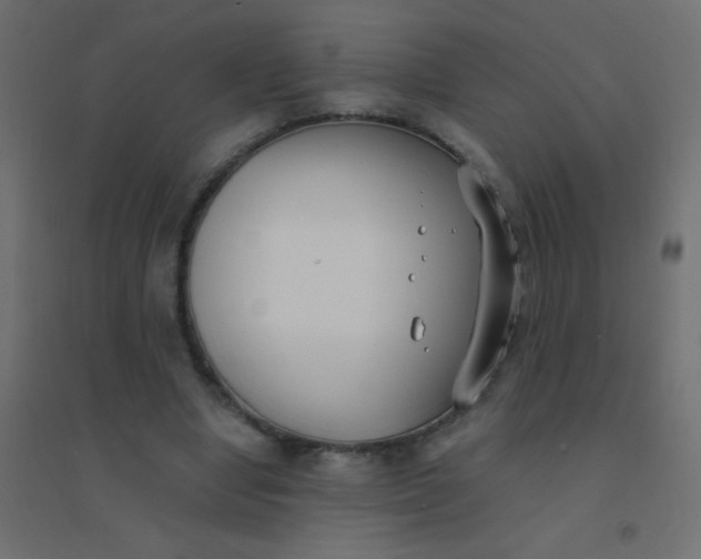 X0000094910442200712131456