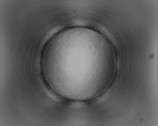 X0000094910444200712131456