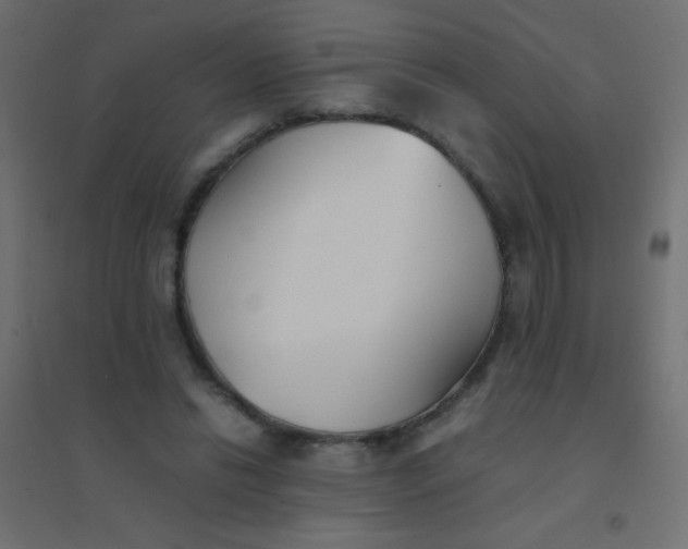 X0000094910446200712131456