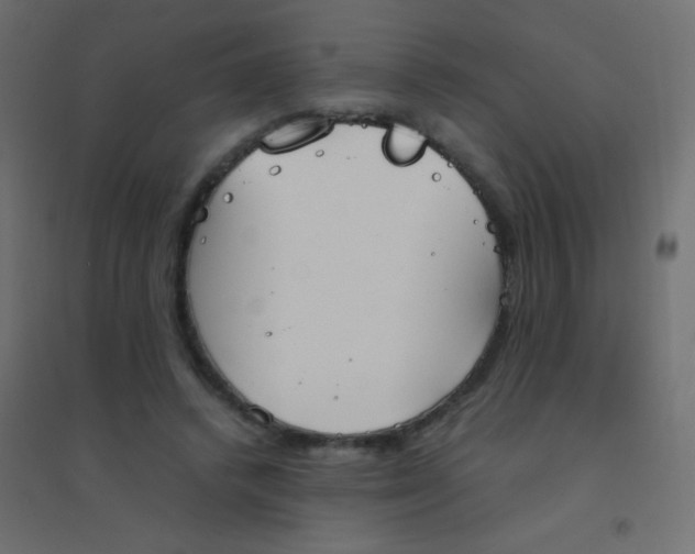 X0000094910448200712131456