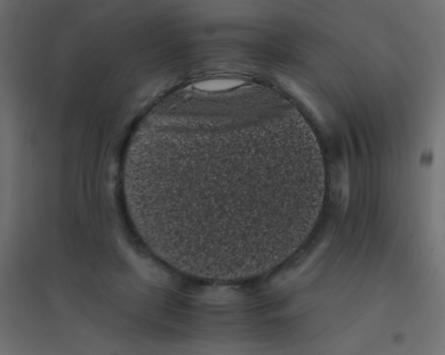 X0000094910451200712131456