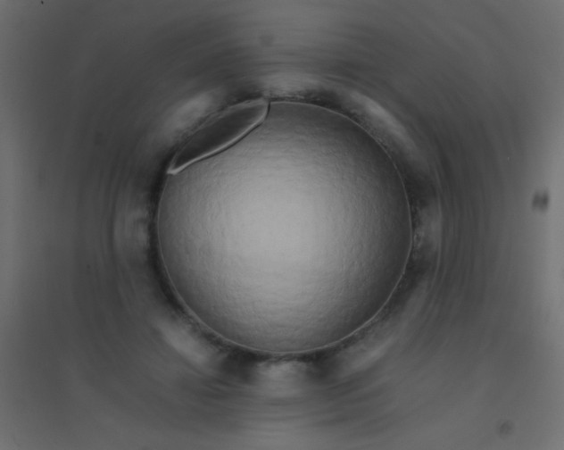 X0000094910452200712131456