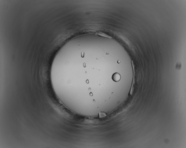 X0000094910455200712131456
