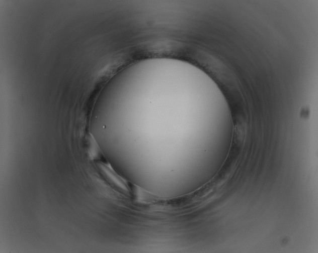 X0000094910458200712131456