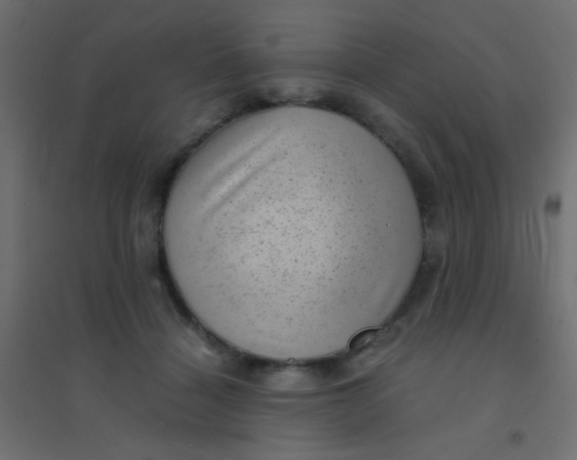 X0000094910460200712131456