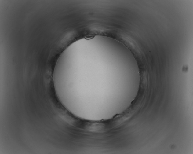 X0000094910463200712131456