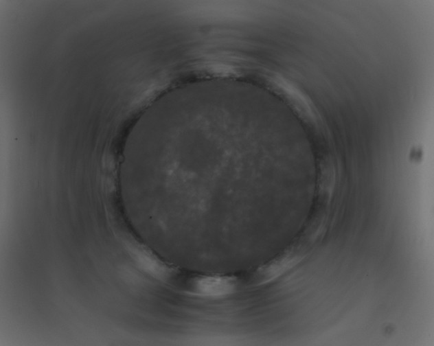 X0000094910465200712131456