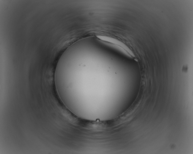 X0000094910466200712131456