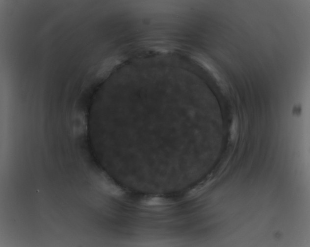 X0000094910467200712131456