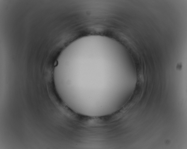 X0000094910468200712131456