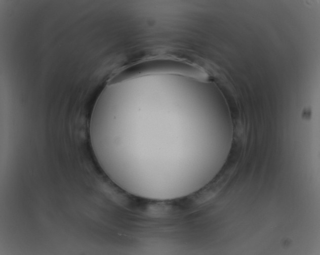 X0000094910470200712131456