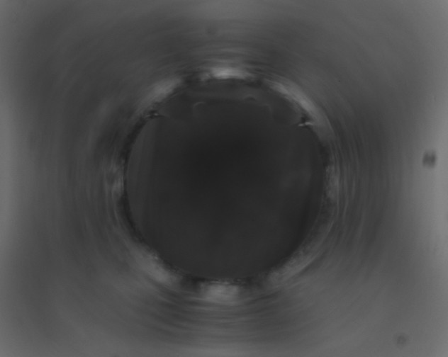 X0000094910471200712131456