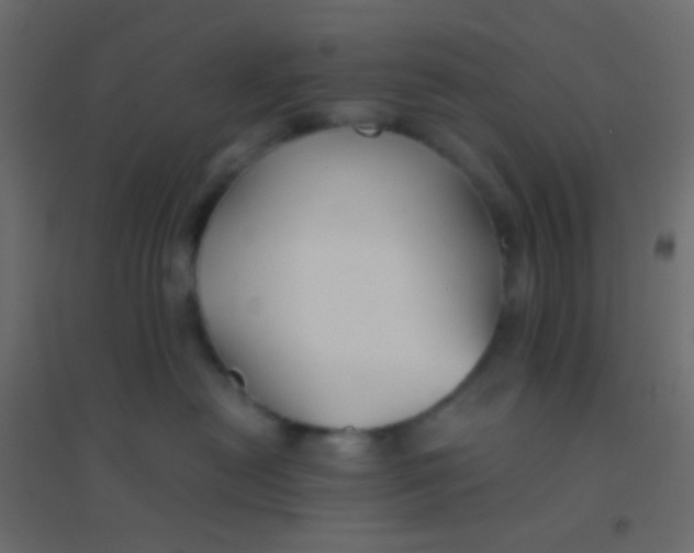 X0000094910478200712131457