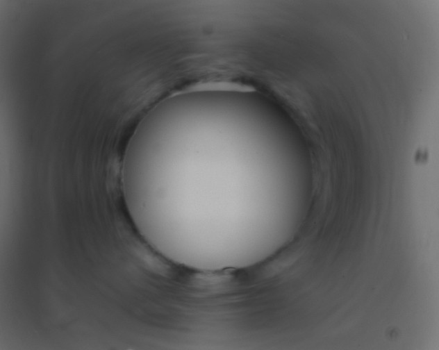 X0000094910480200712131457